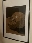 Skull Charcoal Drawing 18 X 24 Inches