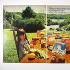 Print Ad Nabisco Summertime Snacking Vintage 1967 Biscuit Crackers Picnic 2 Page