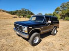 1984 Ford Bronco U100