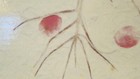 Cottage Scrap Book Unused Khaki Cottagecore Leaf Twigs Design 12  Sq 40 Pages