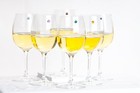 Swarovski Crystal Magnetic Wine Charms Set Of 12 Jewel Tones And Pastels