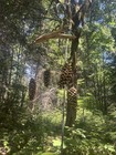 Hanging Bird Feeder  Outdoor Decoration Birdfeeder Hung By Driftwood From Oregon