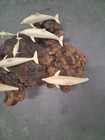 John Perry Dolphins Family Of 8 Dolphins On Burl Wood Sculpture