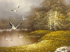 Vintage 80s Framed Oil Painting Nature Realism Outdoors Birds Signed 15x13