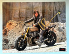 Norman Reedus Signed  the Walking Dead  Daryl Dixon  8x10  Autograph  W coa