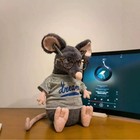 Jellycat Lachlan Sad Rat Brand New With Tags
