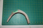 Medium Straight Deer Antler Dog Chew  7   Bone Chews Deer Elk Treats Deer 1018