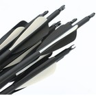 12pcs 32 Inch Carbon Arrows Archery For Compound   Recurve Bows Outdoor Hunting