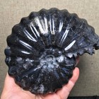 572g  Natural Black Polishing Stone Sculptor Decoration Fb1847