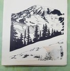 Vintage Trails Illustrated Topo Map Mount Rainer National Park Water Tear Proof