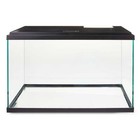 10-gallon Glass Aquarium Starter Kit
