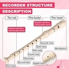2 Pcs Soprano Recorder Instrument 8 Hole German Fingering Flute For Beginners