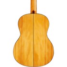 Cordoba F7 Nylon-string Flamenco Acoustic Guitar Natural 197881452582 Rf