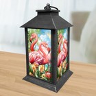 Briarwood Lane Flamingo Pair Lantern