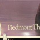 Piedmont Airlines  boston  1980 s Vintage Poster 24  Wide X 36  Long