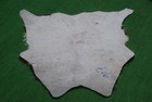 100  New Cowhide Rugs Area Cow Skin Leather Small Calf Hide Sa-907