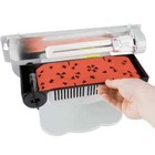  4 Pk  Paraclipse 78320 Fly Patrol Cartridge Replacement Flies   Fruit Fly Traps