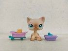 Littlest Pet Shop Figure Yellow Short Hair Cat  816 W accessories New Lps Toy