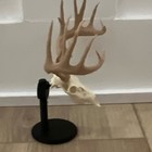 White Tail Deer Replica With Brown Antlers And Stand      