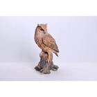 Great Horned Owl On Stump