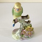 Royal Adderley Budgerigar Bird Vintage Budgie Bone China Figurine Green Spring