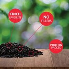10 Lb Nyjer Seed Wild Bird Food For Finches Songbirds High Energy Bird Feed