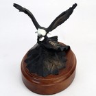 Sandia National Laboratories Flight Of Freedom Bronze Eagle By Greg Neeley  1997