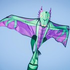3399     90-inch Dragon Kite     Large  Easy-flying Kite With Line And Bag Included