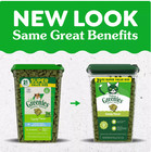 3 Pack Greenies Feline Catnip Flavor Adult Natural Dental Cat Treats  21oz