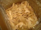 5000 Brand New  10 Wood Biscuits 2 1 8  X 3 4  