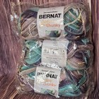 Lot Of 7 Skeins Bernat Softee Chunky Ombre Shadow Acrylic Yarn Same Dye Lot