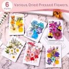 Pressed Dried Flowers 102 Pcs Natural Mixed Colors Real Preserved Petals Kit