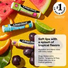 Tropical Treats Flavored Lip Balm  Watermelon  Tangerine   Grape  3 Pack