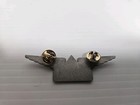 Vintage Delta Airlines Flight Attendant Stewardess Wings Pin  Name Badge 
