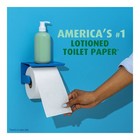 Ultra Gentle Toilet Paper - 12 Mega Rolls  No Fragrance Added  Dye-free