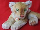 Steiff 1950s 14  Young Lion Cub Lying With Chest Tag Glow In Dark Eyes No Button