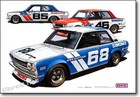 Bre Datsun 510 Transam 2 5 Team Cars Print  19 x13   Sold By Peter Brock Bre
