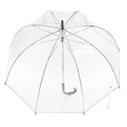 Bubble Rain Umbrella Clear Windproof Travel Folding Compact Automatic Open