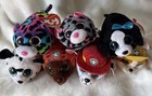 Ty Beanie Teeny Ty   s Boos Plush Lot Of 7-paw Patrol   More Cat dog