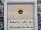 Pallasitic Peridot Gem  18 Cts   3 60 Mm  With G i a  Report   ppv18