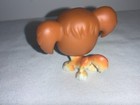 Cocker Spaniel Dog  31 Hasbro Lps  2004
