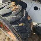 Bobcat S300 Left driver Tire And Rim - Used