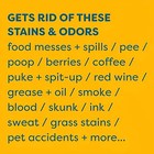 Kids  n  Pets Stain   Odor Eliminator Removes Dog And Cat Odors From Fabrics