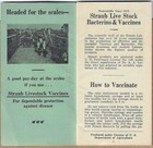Vaccines   Bacterins For Livestock  Straub   Co  chicago    Stetler Laboratories