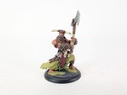 Warmachine Hordes Circle Orboros Tharn Ravagers Pro Painted