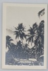 Vintage Papua New Guinea Real Photos   Postcards 3 5 X 2 5 Inches