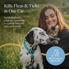 Veterinary Formula Flea And Tick Shampoo For Dogs And Cats  16 Oz