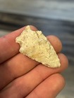 Indiana Arrowhead