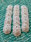 25 White Keyhole Sand Dollars 1 5 Inches Florida Gulf Coast Seashells Decor