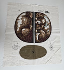 Arnold Print Works King Charles Cocker Spaniel Dog Linen Reproduction Panel